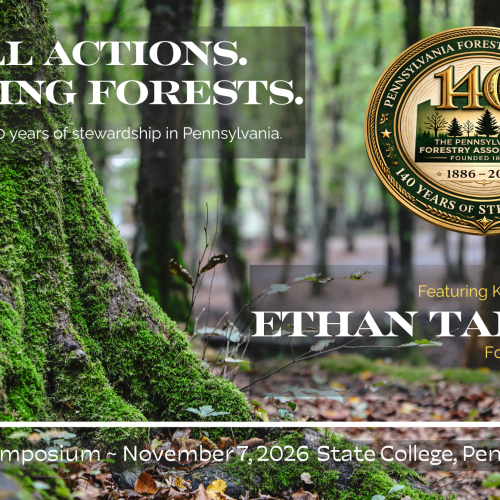 Small Actions Lasting Forests