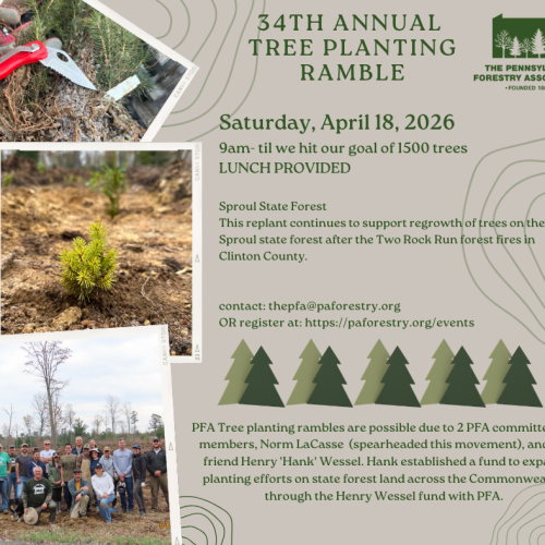 2026 Pfa Tree Planting Ramble
